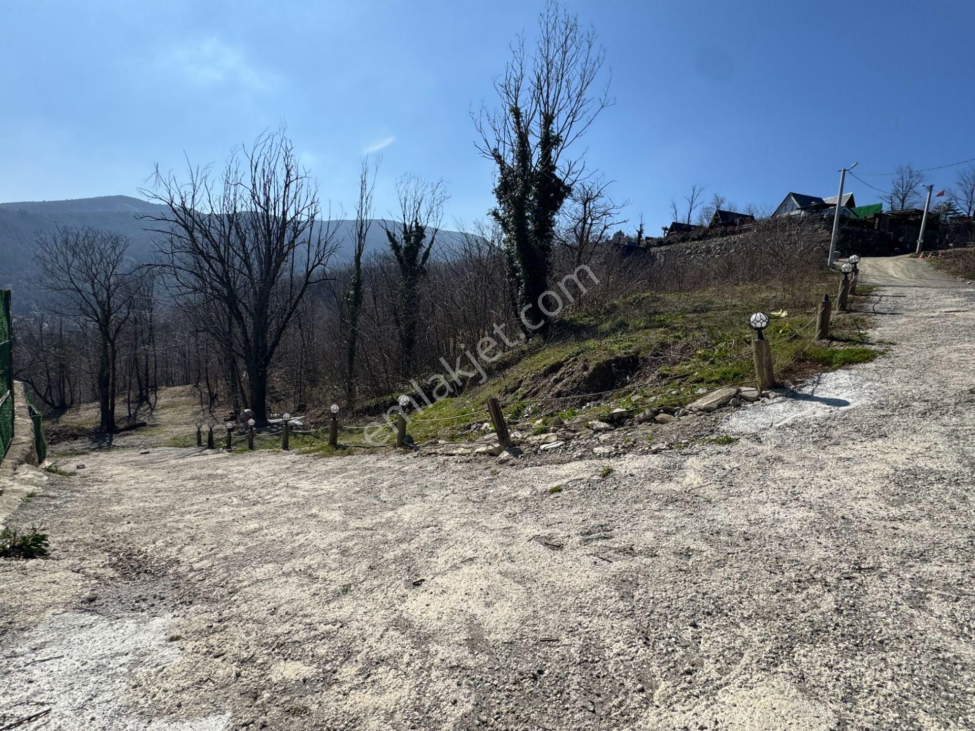Sapanca Şükriye’de 2003 M2 Satılık Bahçe - Görsel 18