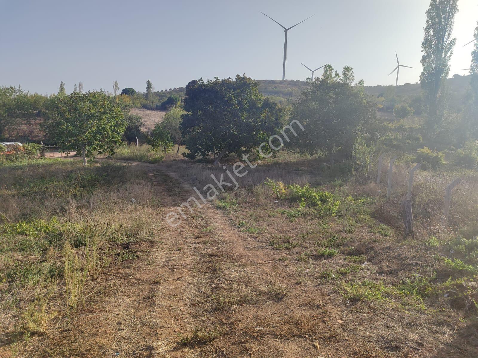 Bandırma Edincik'te İmar Planı İçerisinde Satılık 2419m² Bağ - Görsel 5
