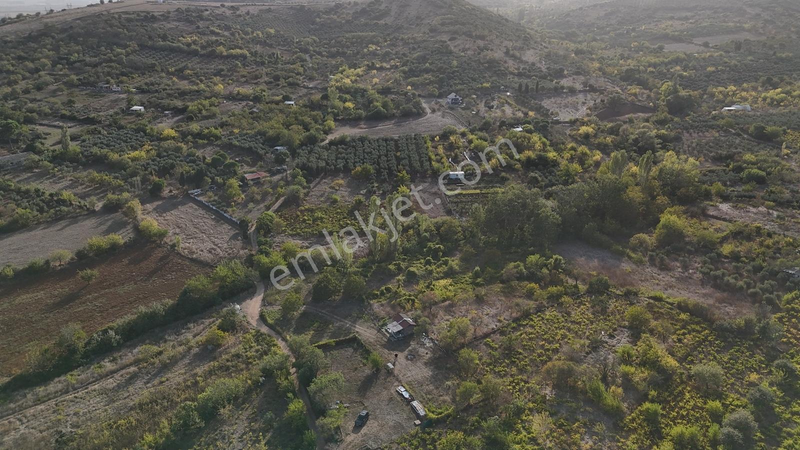 Bandırma Edincik'te İmar Planı İçerisinde Satılık 2419m² Bağ - Görsel 21