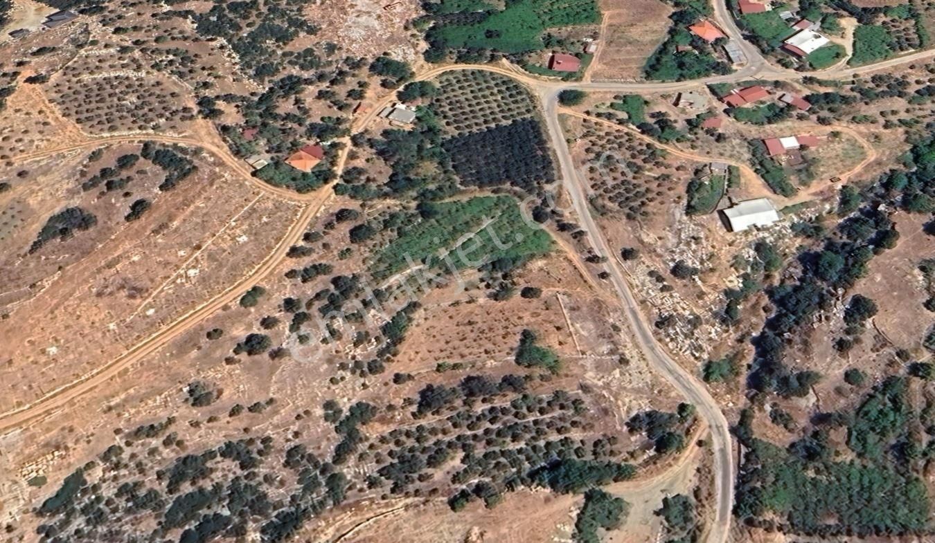 Goldhouse Den Satılık Tarla Seydikemer Arsaköyde 1429 M²