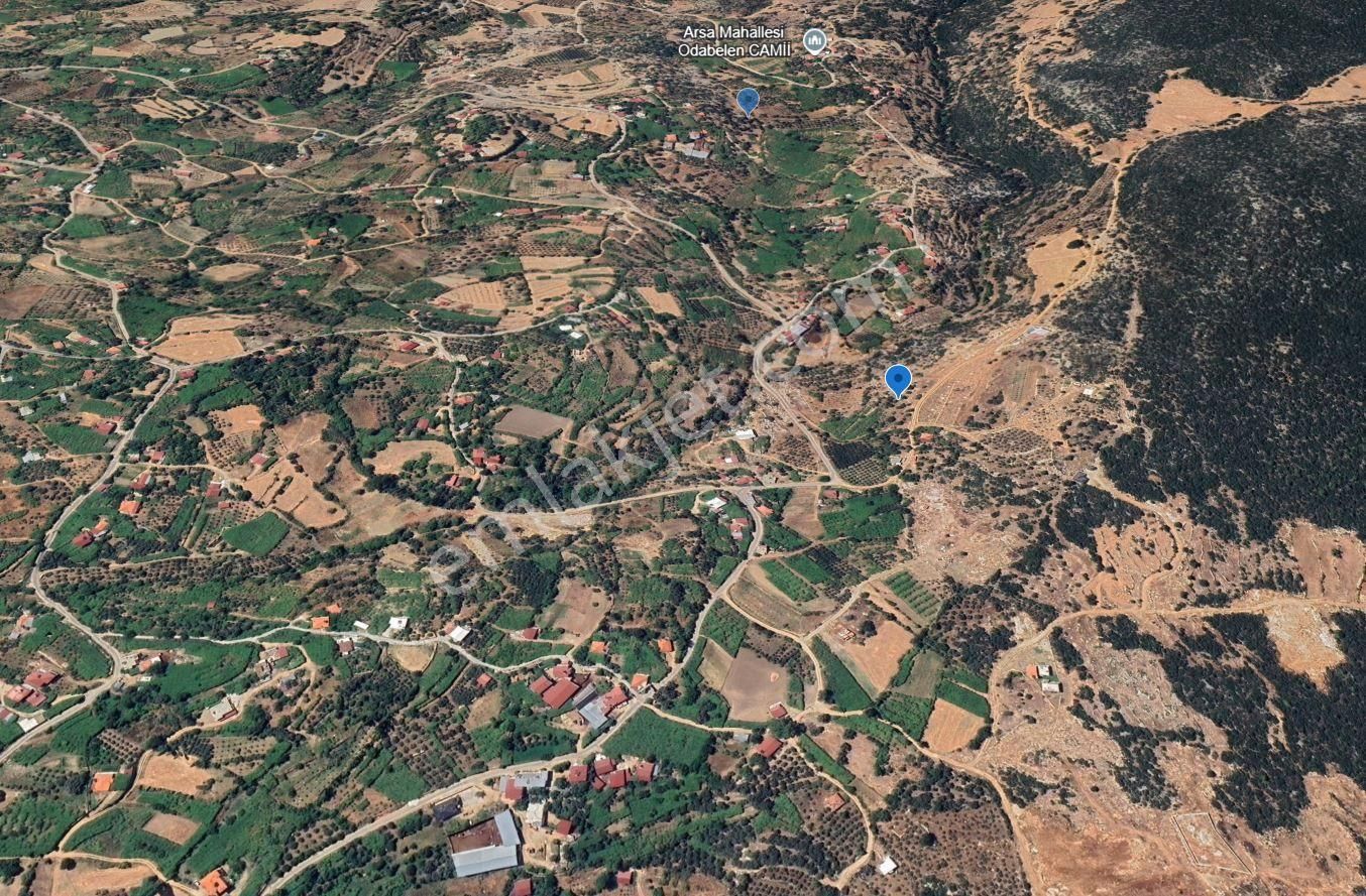 Goldhouse Den Satılık Tarla Seydikemer Arsaköyde 1429 M² - Görsel 3