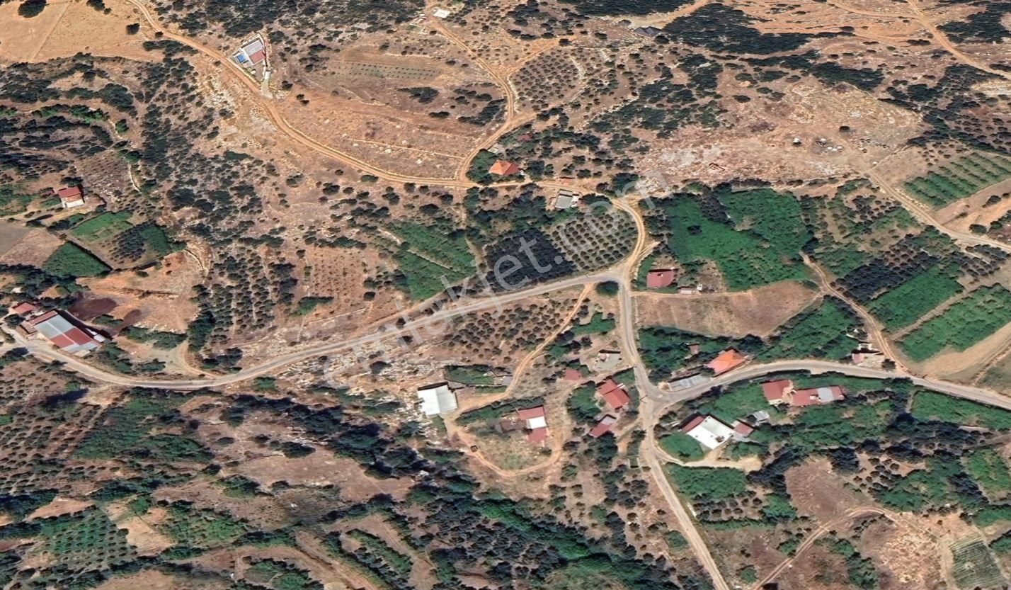 Goldhouse Den Satılık Tarla Seydikemer Arsaköyde 1429 M² - Görsel 2