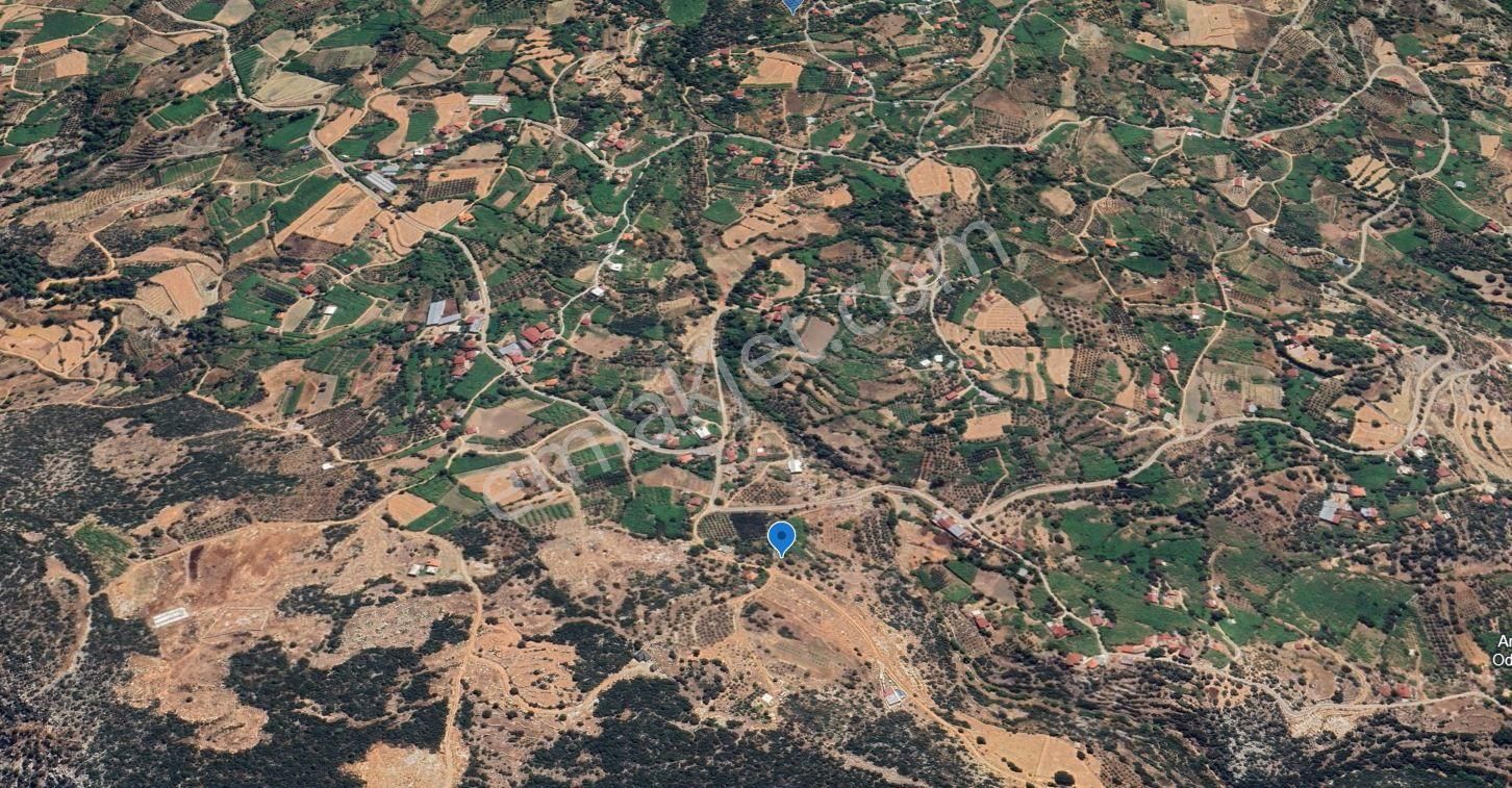 Goldhouse Den Satılık Tarla Seydikemer Arsaköyde 1429 M² - Görsel 4