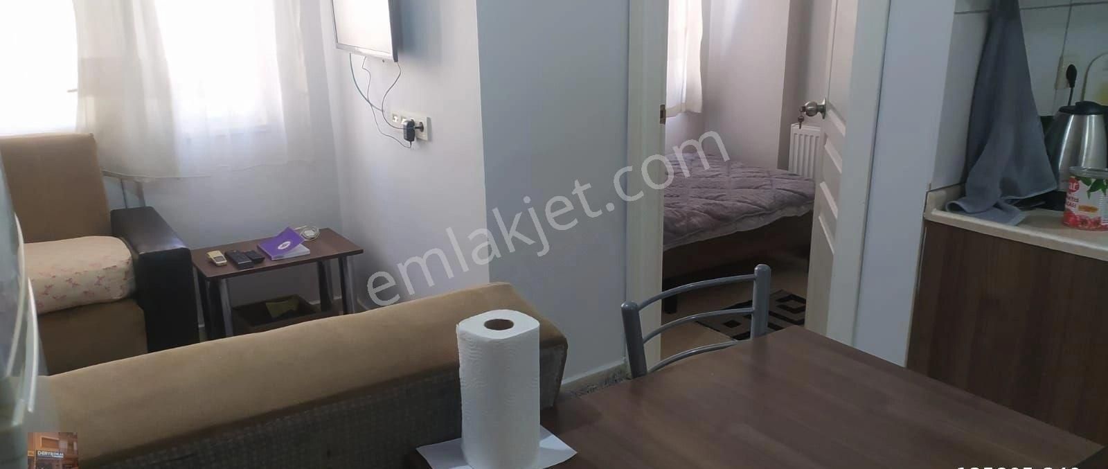 Aydın Satılık 1+1 Eşyalı Daire Zafer Mahallesi - Görsel 4