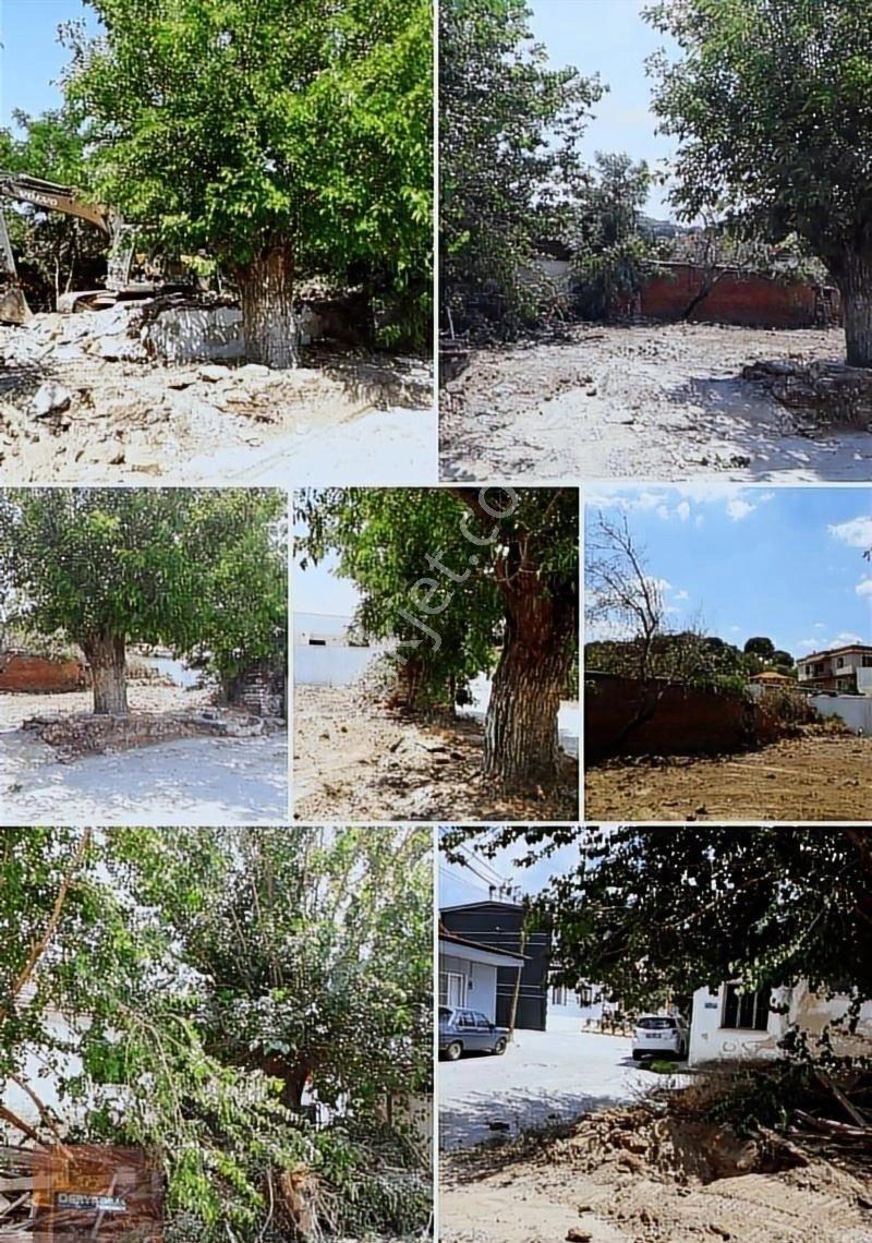 Aydın Satılık Ticari+ Konut Koçarlı Bıyıklı Mahallesi - Görsel 8