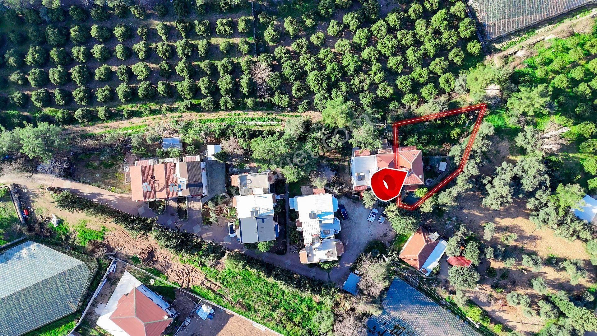 Doyran'da Konyaltı Sahiline 13 Km Mesafede Bahçeli 4+1 Villa400 M² Bahçe • 15 Meyve Ağacı Var - Görsel 5