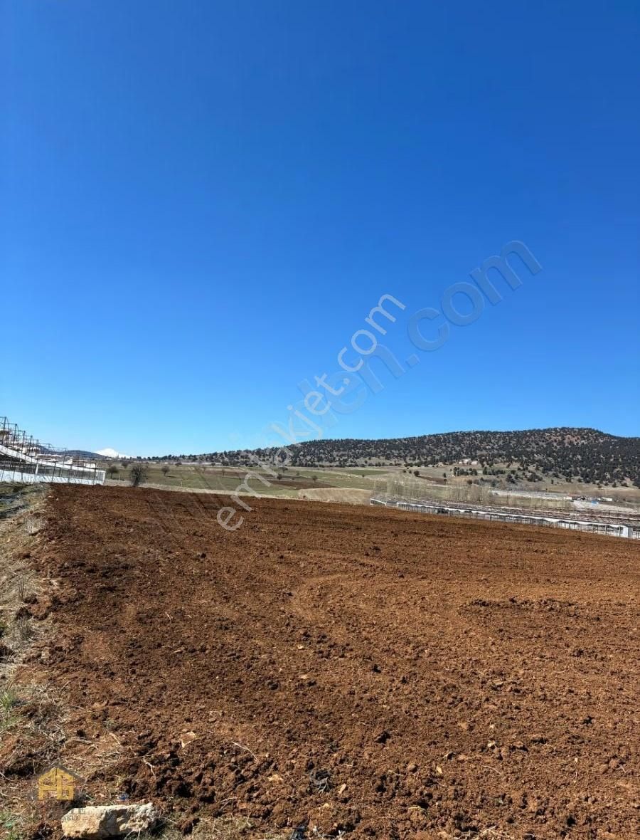 Seydikemer Kayabaşında 10.867m2 Tek Tapu Arazi Satılık - Görsel 12