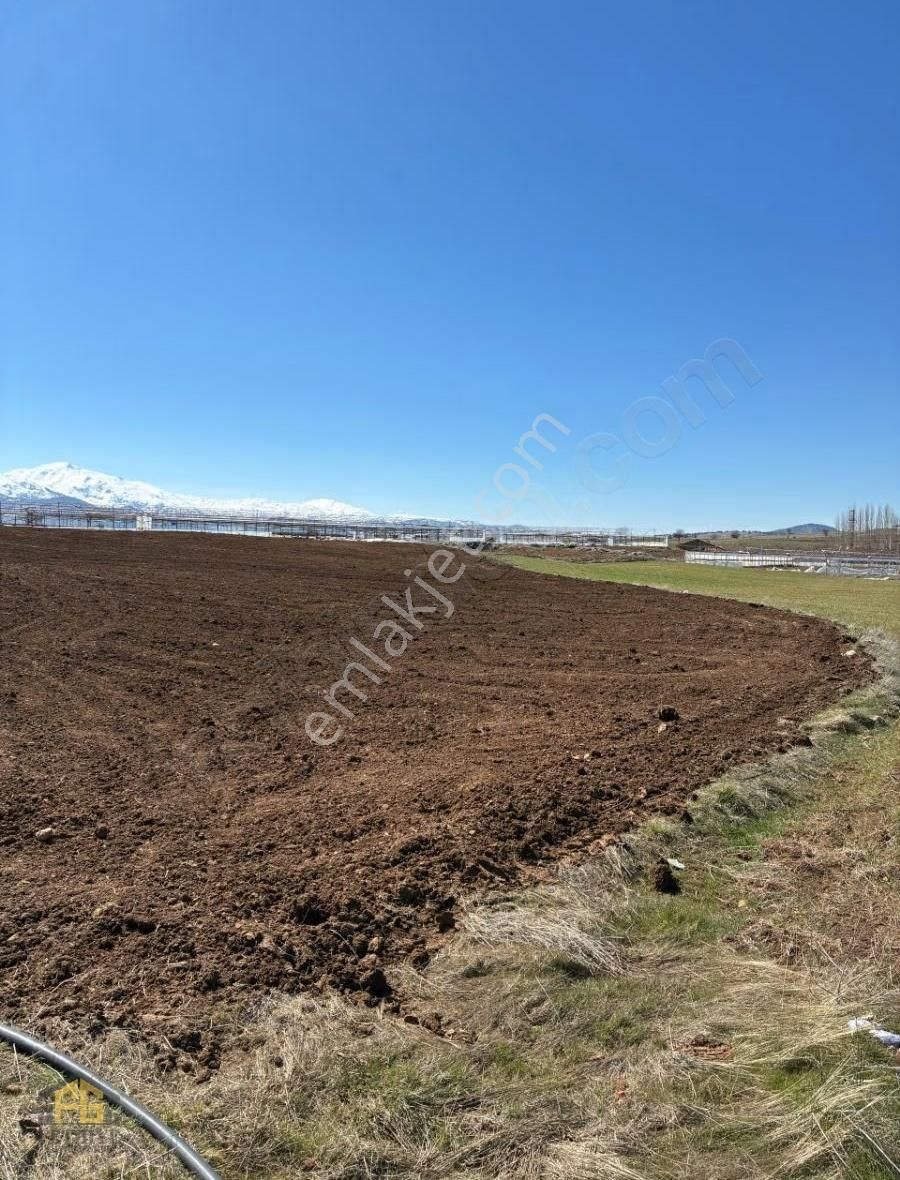 Seydikemer Kayabaşında 10.867m2 Tek Tapu Arazi Satılık - Görsel 5