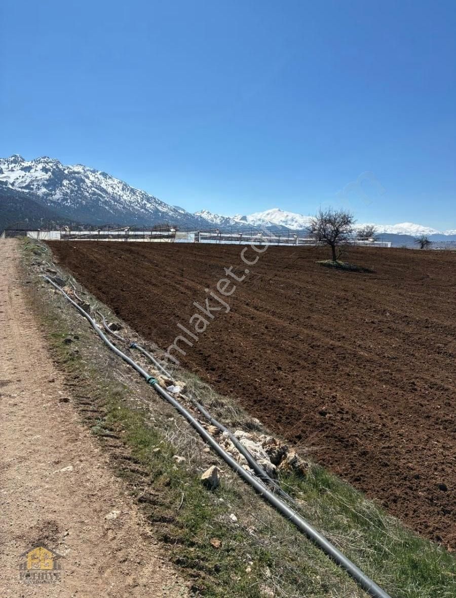 Seydikemer Kayabaşında 10.867m2 Tek Tapu Arazi Satılık - Görsel 2