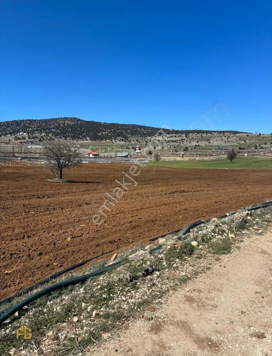 Seydikemer Kayabaşında 10.867m2 Tek Tapu Arazi Satılık - Görsel 13