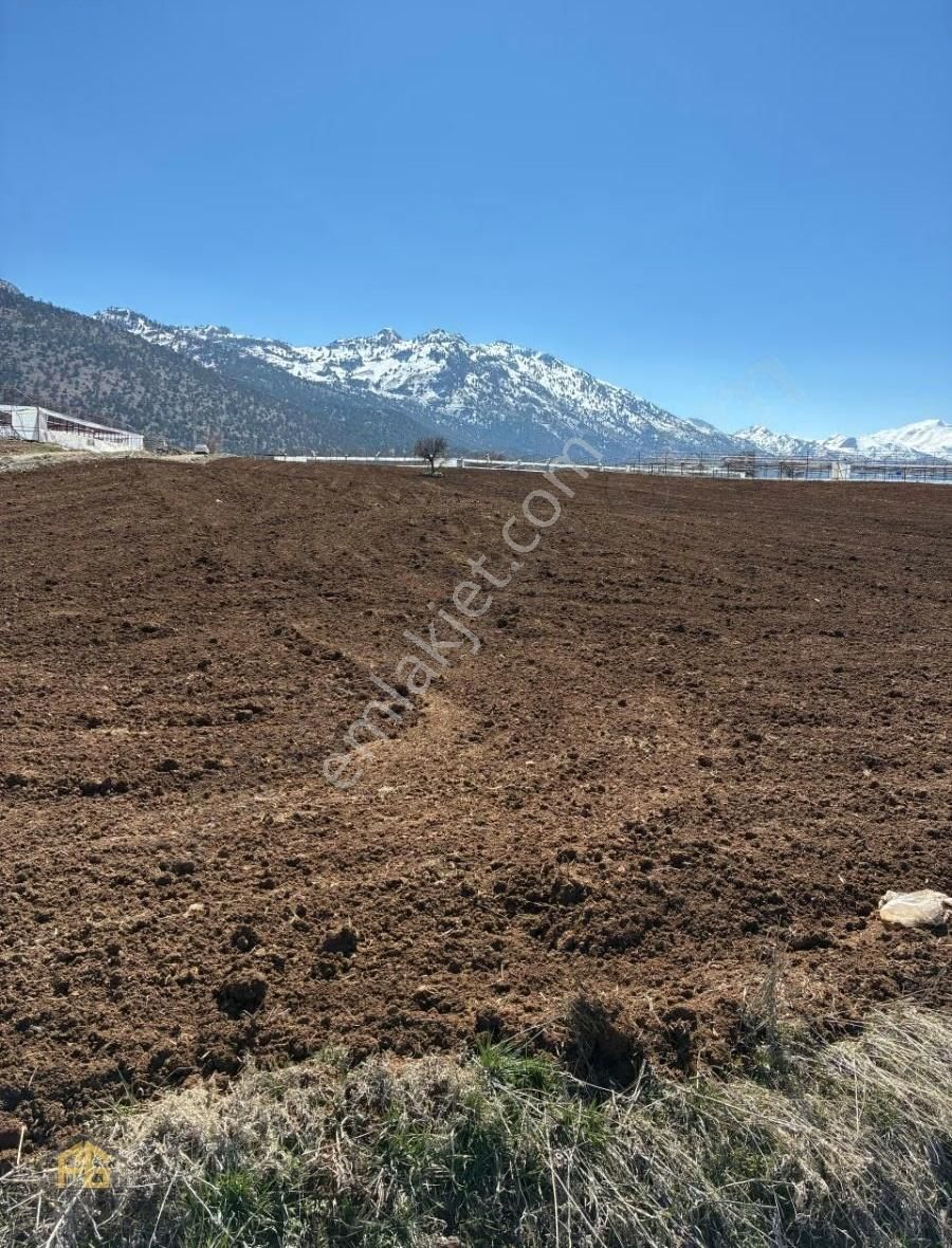 Seydikemer Kayabaşında 10.867m2 Tek Tapu Arazi Satılık - Görsel 4