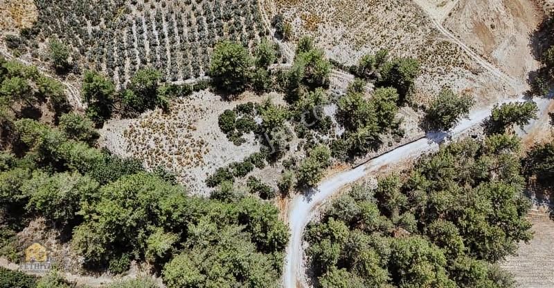 Seydikemer Bağlıağaçda 963m2 Müstakil Yatırım Fırsatı Tarla - Görsel 3