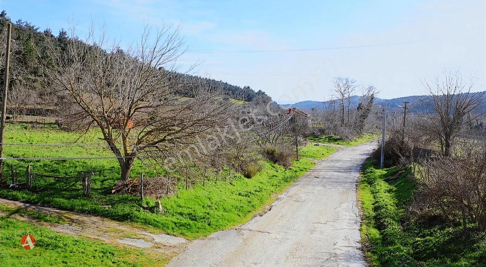 Gelibolu, Ilgardere, Asfalt Yola Cephe, 1.504 M2 Satılık Arazi
