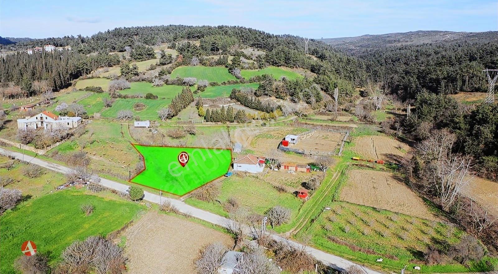Gelibolu, Ilgardere, Asfalt Yola Cephe, 1.504 M2 Satılık Arazi - Görsel 4