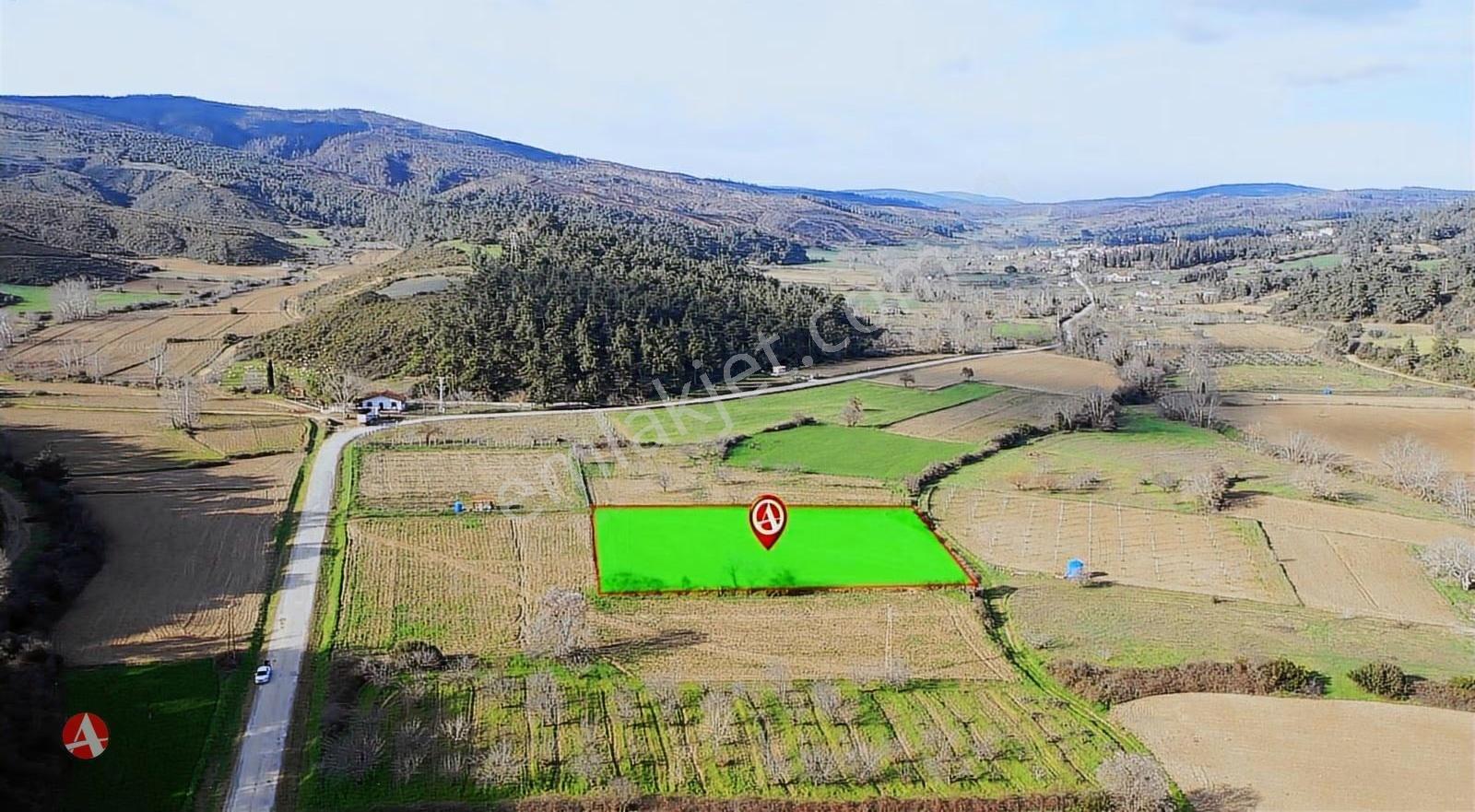 Çanakkale,gelibolu, Ilgardere, 4.354 M2 Muhteşem Yatırım Fırsatı - Görsel 2