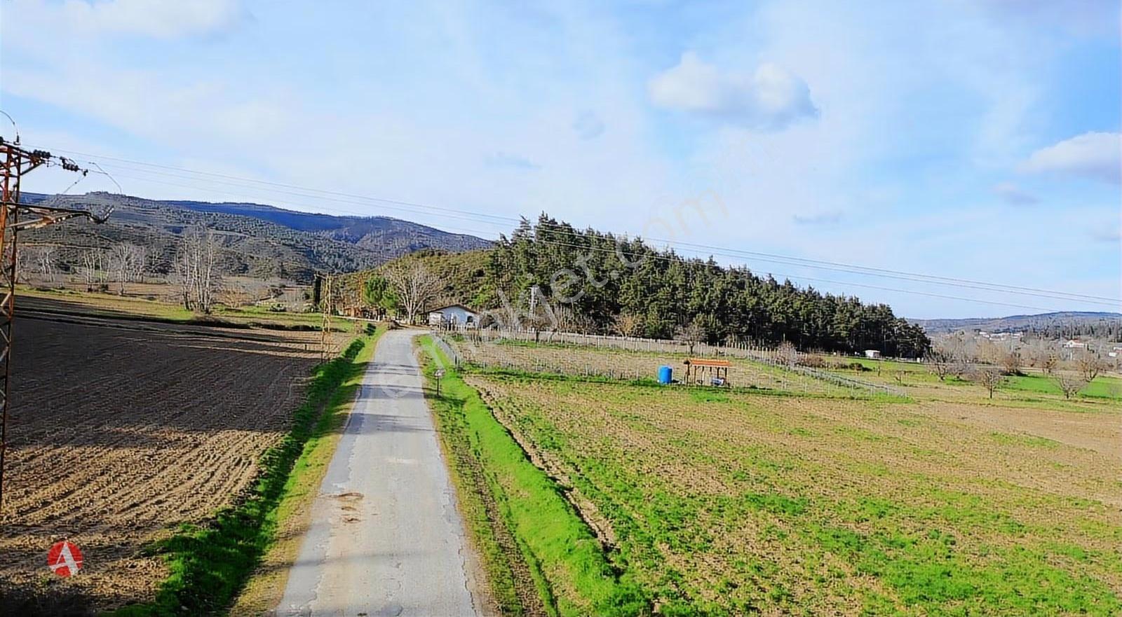 Çanakkale,gelibolu, Ilgardere, 4.354 M2 Muhteşem Yatırım Fırsatı - Görsel 11