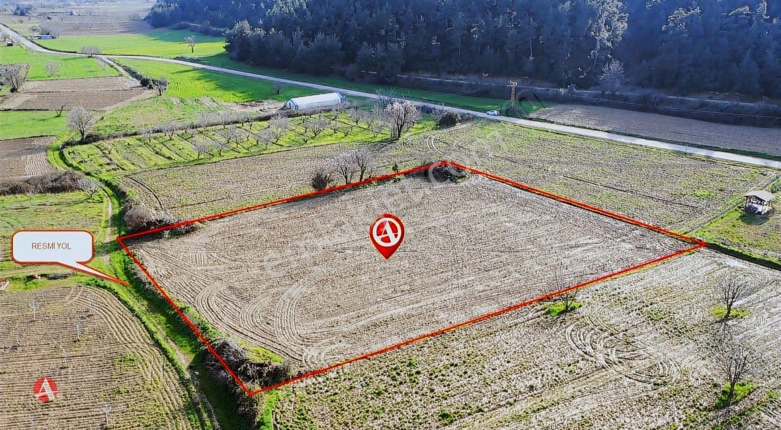 Çanakkale,gelibolu, Ilgardere, 4.354 M2 Muhteşem Yatırım Fırsatı - Görsel 3