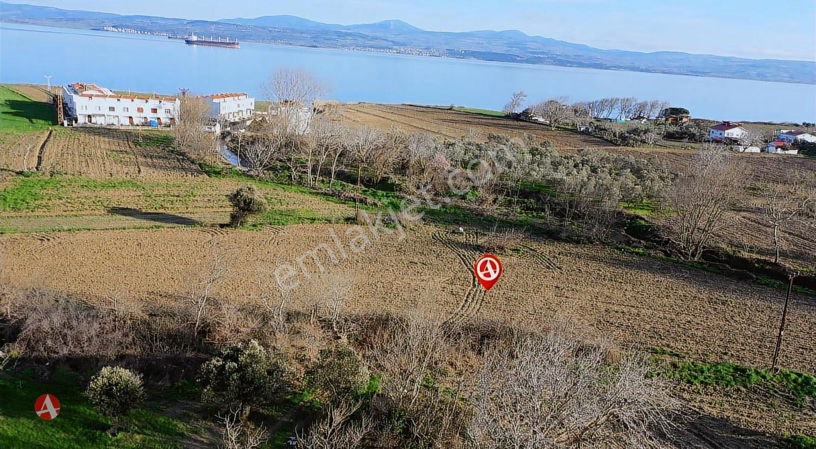 Çanakkale, Gelibolu, Ilgardere, Boğaza Komşu Satılık Arazi - Görsel 4
