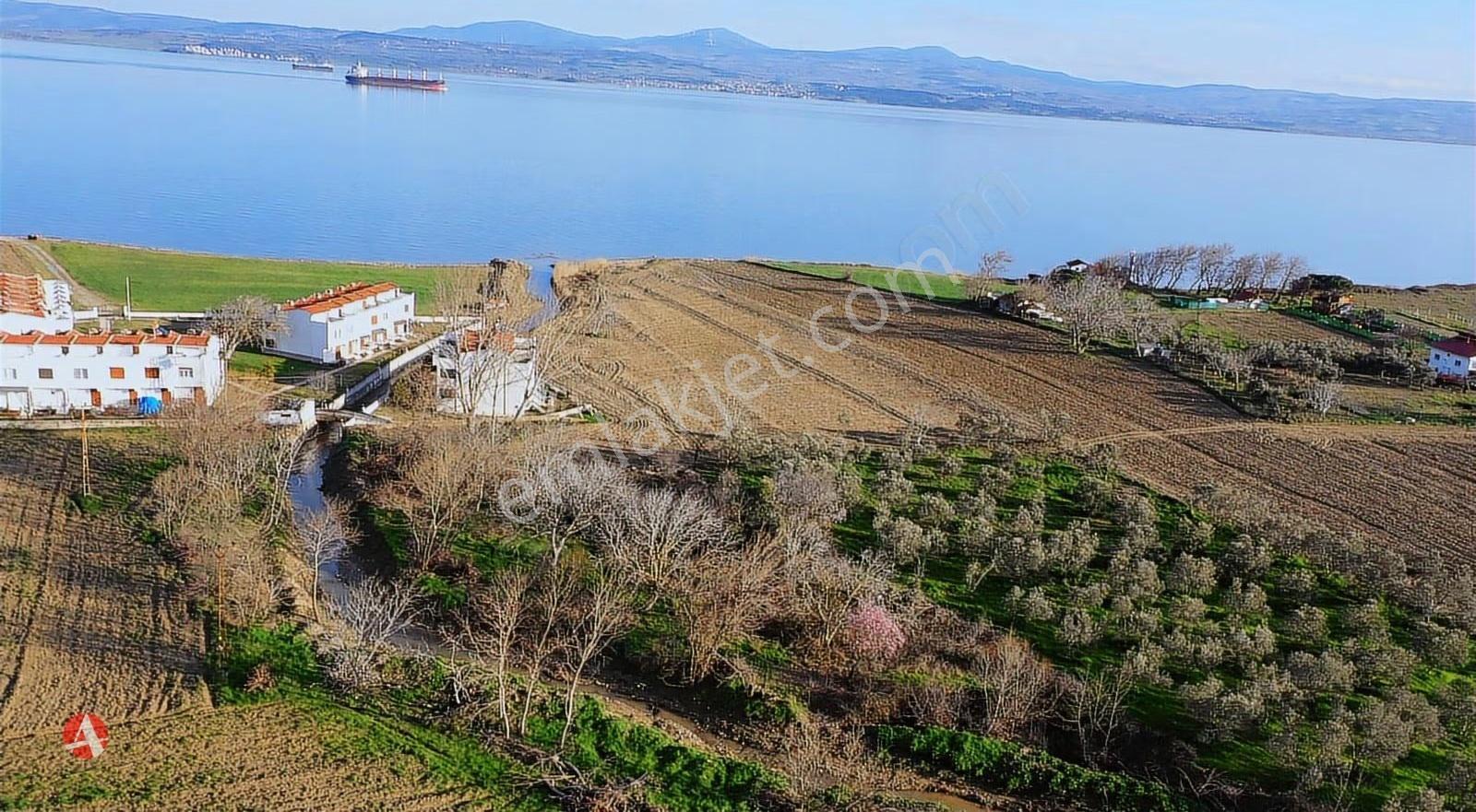 Çanakkale, Gelibolu, Ilgardere, Boğaza Komşu Satılık Arazi - Görsel 6
