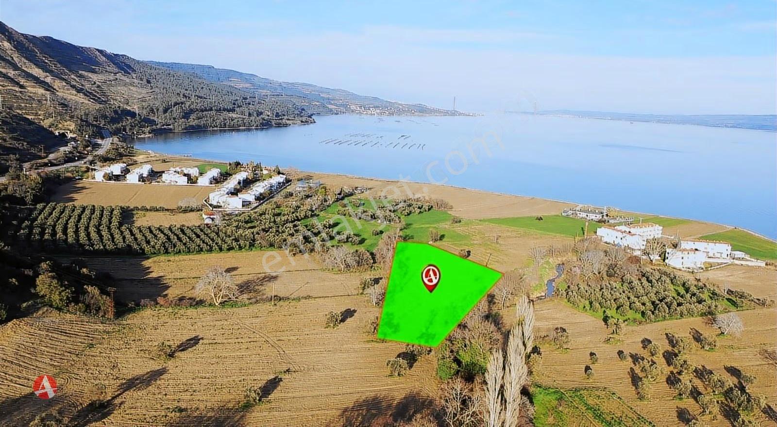 Çanakkale, Gelibolu, Ilgardere, Boğaza Komşu Satılık Arazi