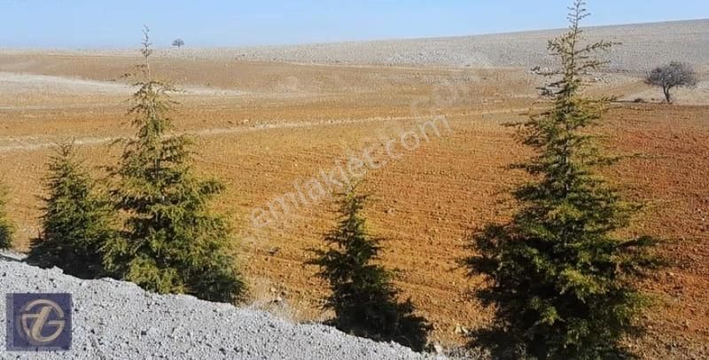 // Antalya Çevreyolu Cepheli Süper Arazi Daha İyisi Yok // - Görsel 2