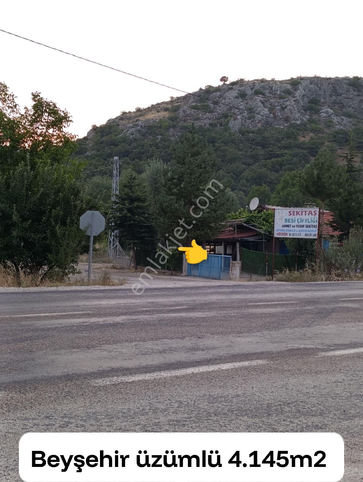 Beyşehir Uygun Fiyat Tarla - Görsel 6