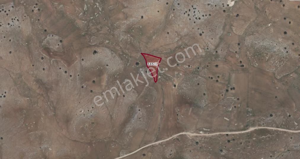 Antalya Korkuteli Taşkesiği Köyü Kazanpınarı Mevki Satılık Tarla No.20603 - Görsel 2