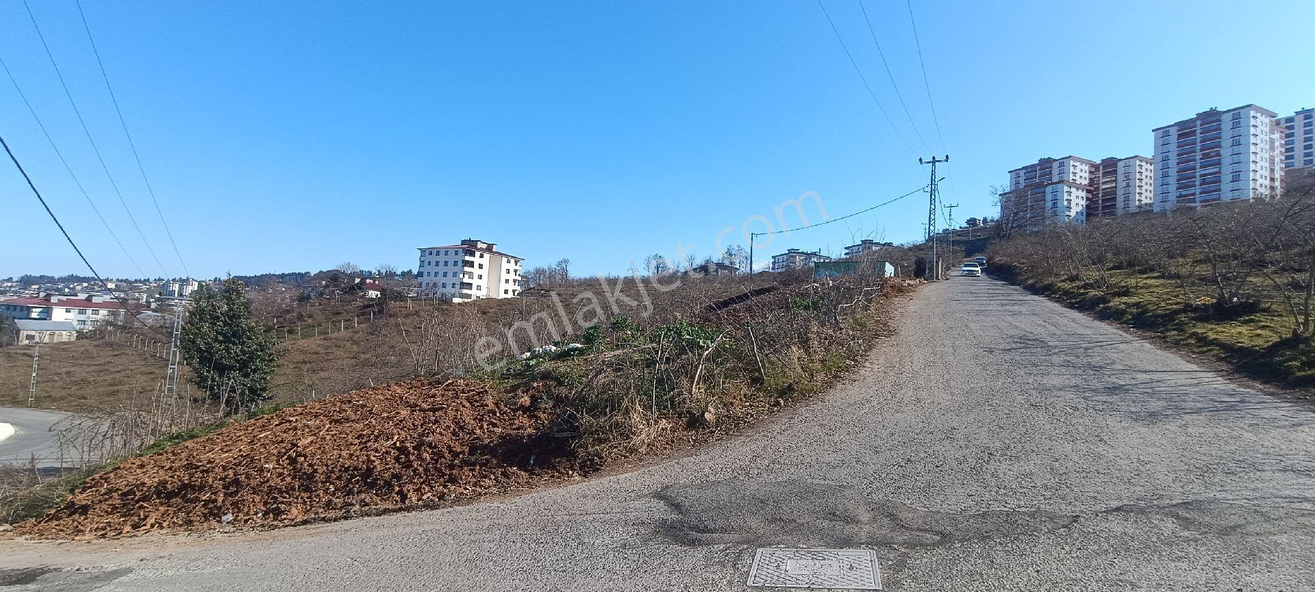 Trabzon,ortahisar,2nolu Beşirli'de Satılık Kupon Arsa(acil Acil) - Görsel 12