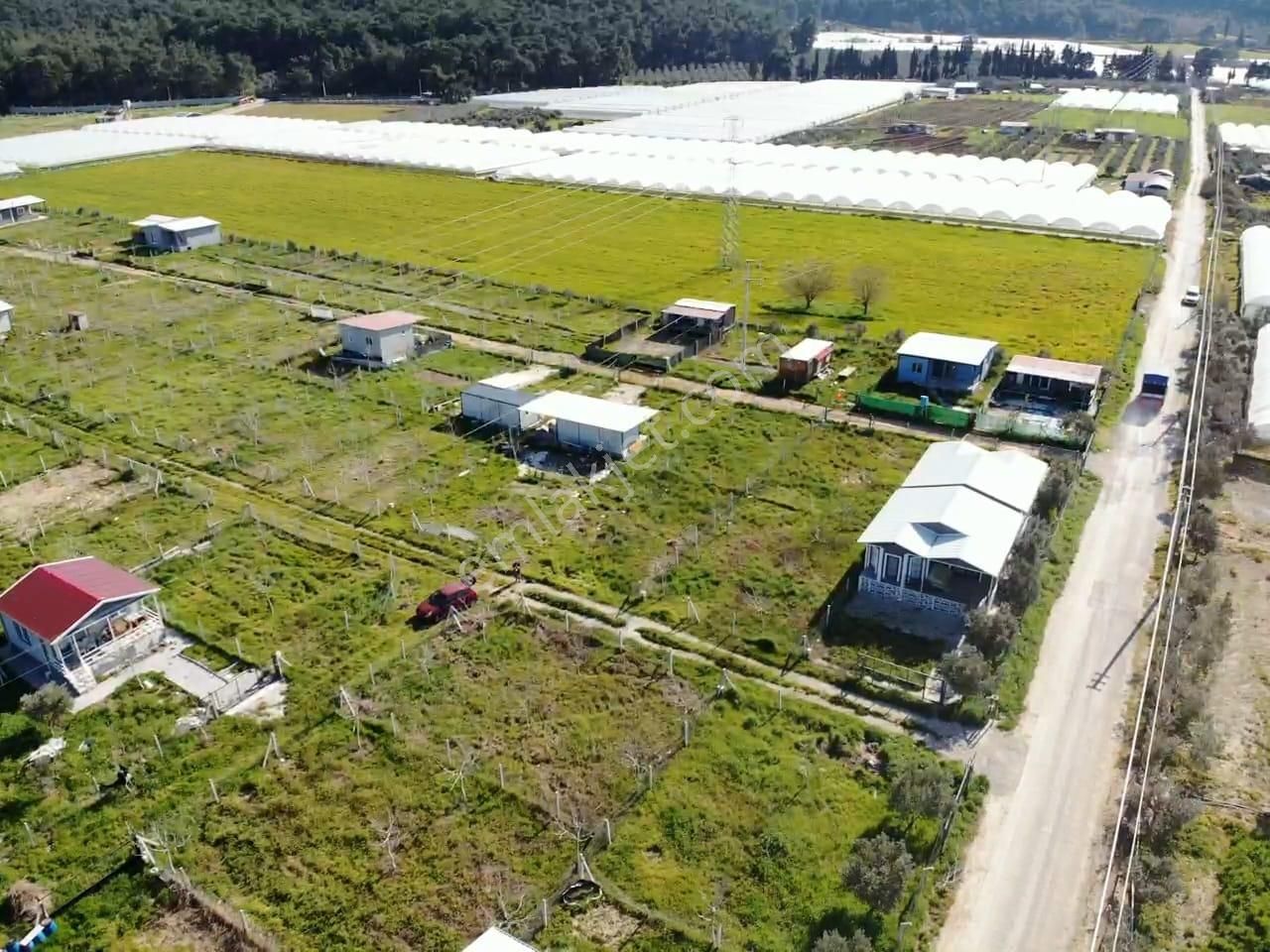 Değirmedere Köyünde; 240m2 Elektrik Su Alt Yapısı Hazır Satılık Köşe Bahçe - Görsel 4