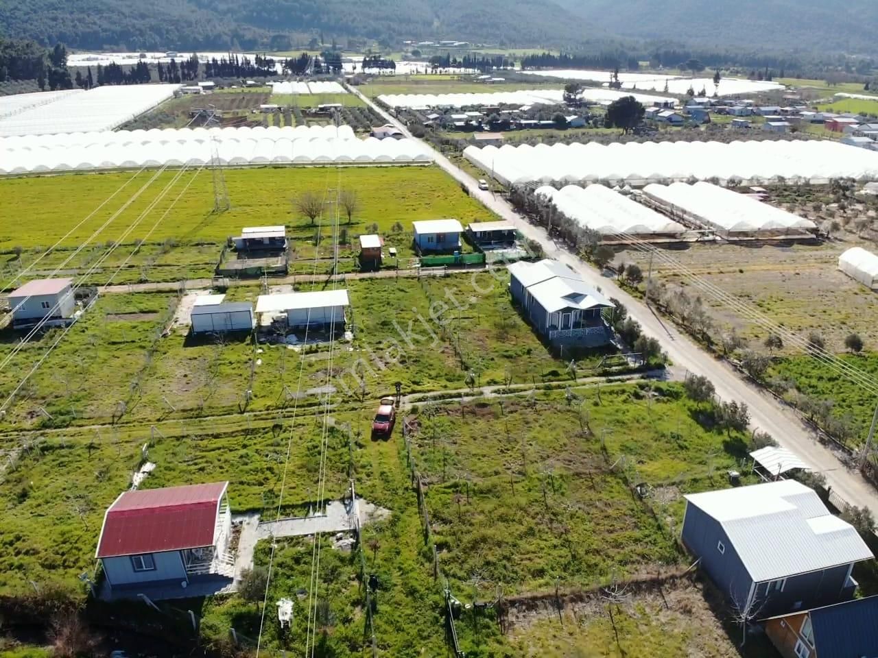 Değirmedere Köyünde; 240m2 Elektrik Su Alt Yapısı Hazır Satılık Köşe Bahçe - Görsel 21