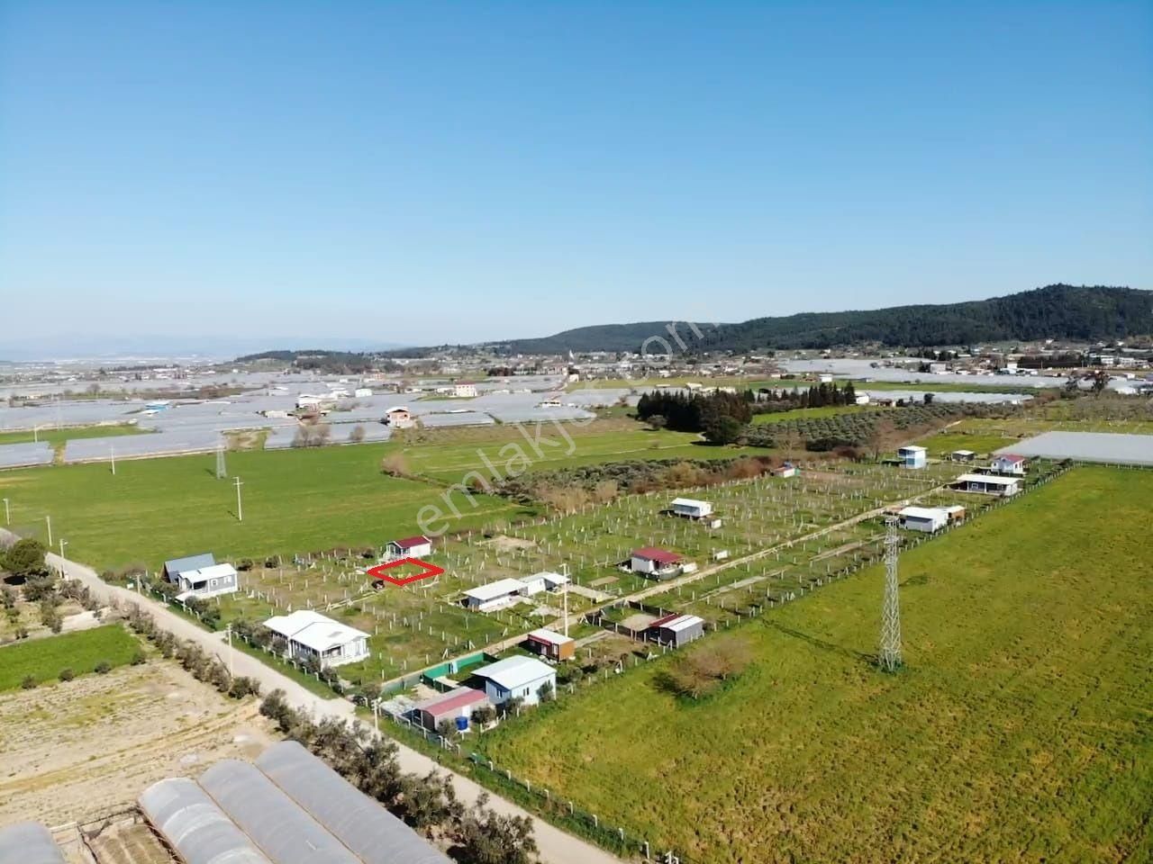 Değirmedere Köyünde; 240m2 Elektrik Su Alt Yapısı Hazır Satılık Köşe Bahçe - Görsel 5