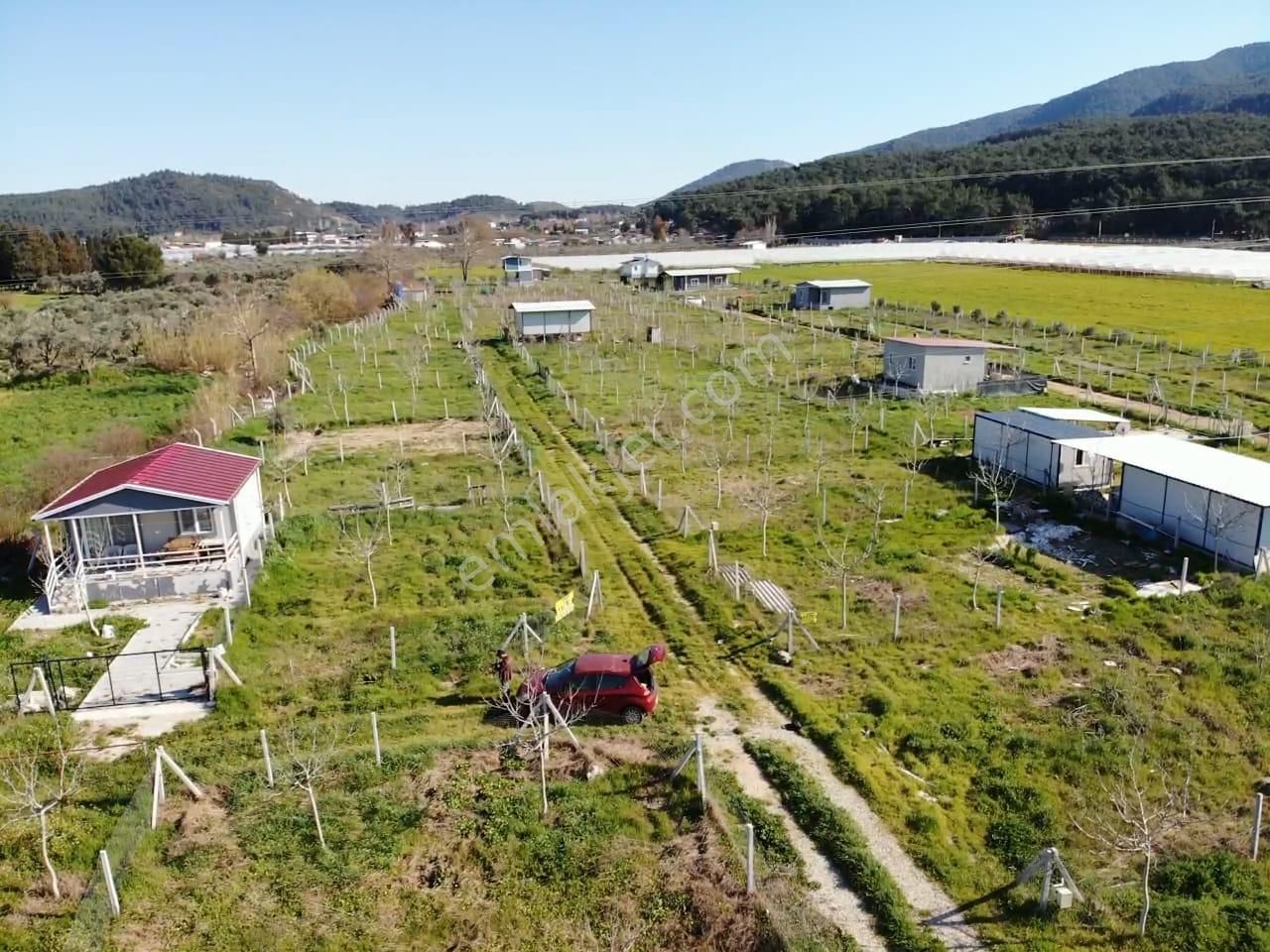 Değirmedere Köyünde; 240m2 Elektrik Su Alt Yapısı Hazır Satılık Köşe Bahçe - Görsel 20