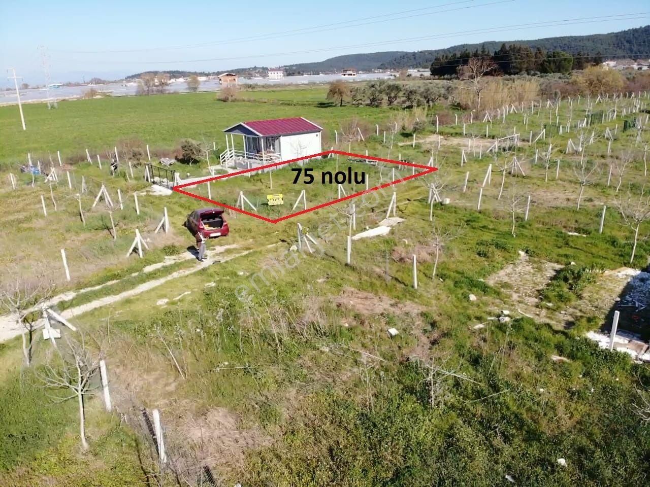 Değirmedere Köyünde; 240m2 Elektrik Su Alt Yapısı Hazır Satılık Köşe Bahçe - Görsel 14