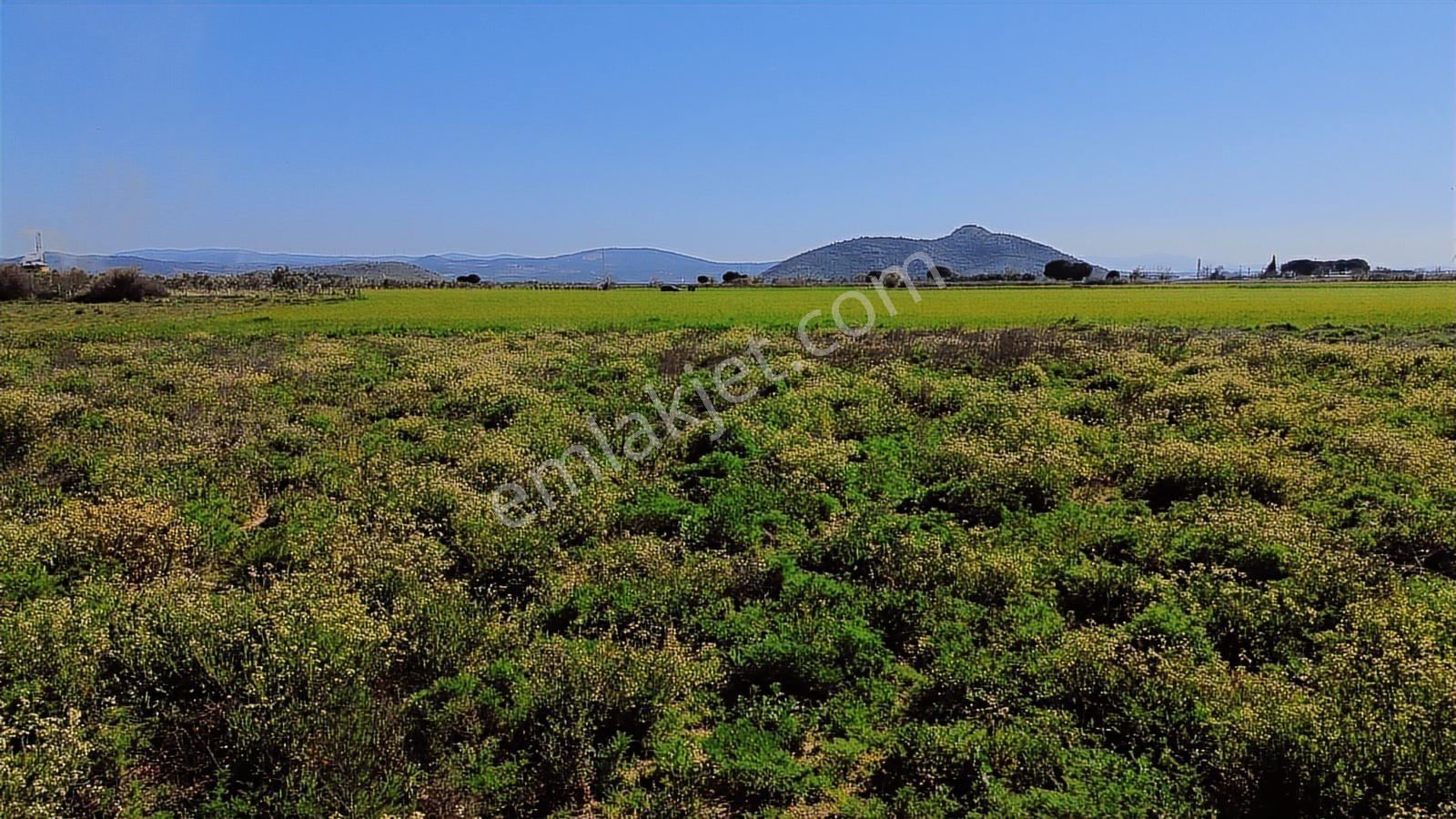 Bergama Organize Sanayi'ye Yakın 7.880 M2 Yatırımlık Tarla - Görsel 4