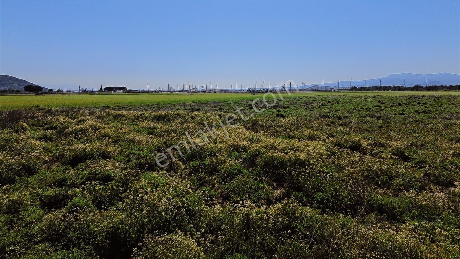 Bergama Organize Sanayi'ye Yakın 7.880 M2 Yatırımlık Tarla - Görsel 2
