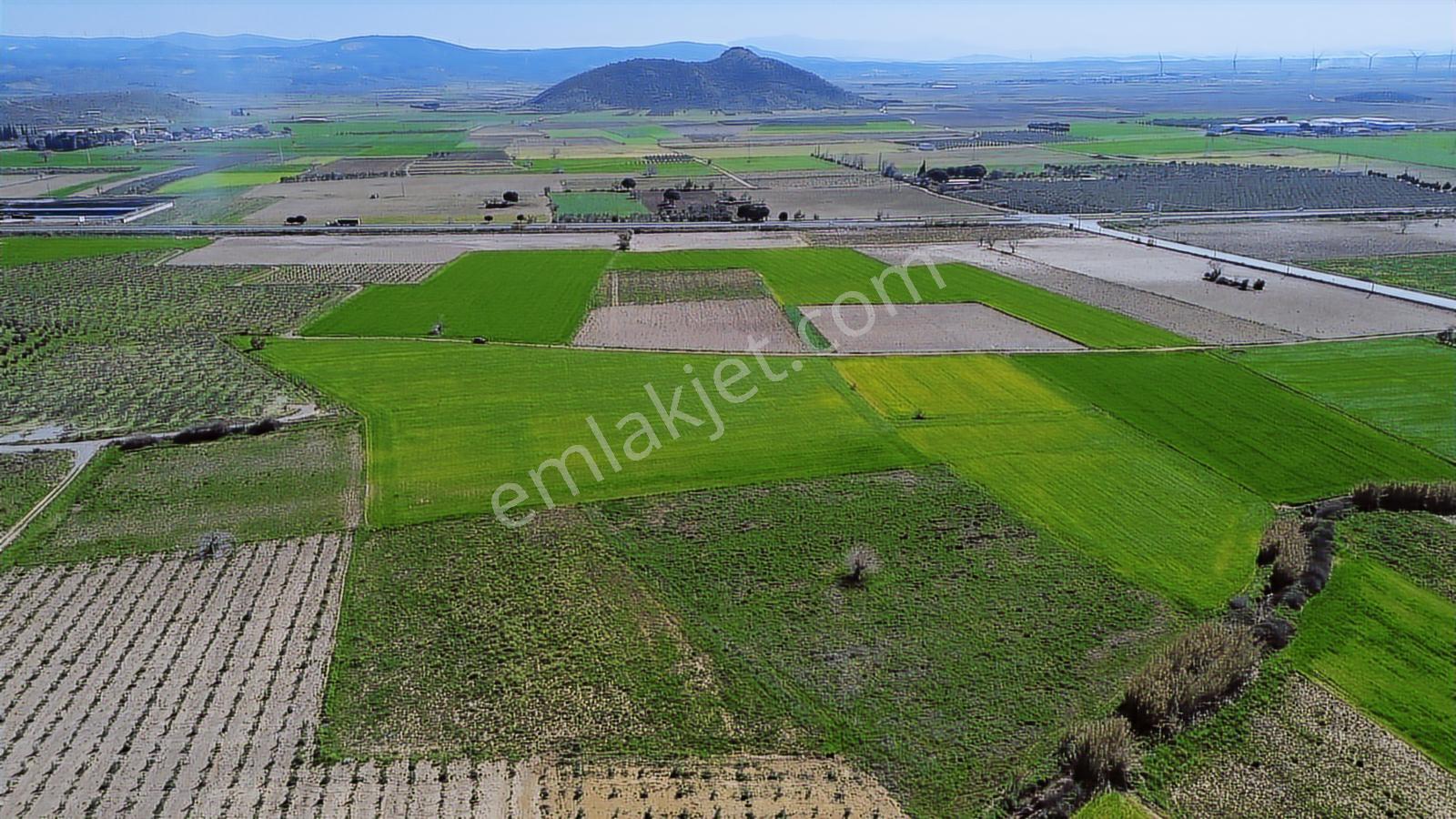 Bergama Organize Sanayi'ye Yakın 7.880 M2 Yatırımlık Tarla - Görsel 7