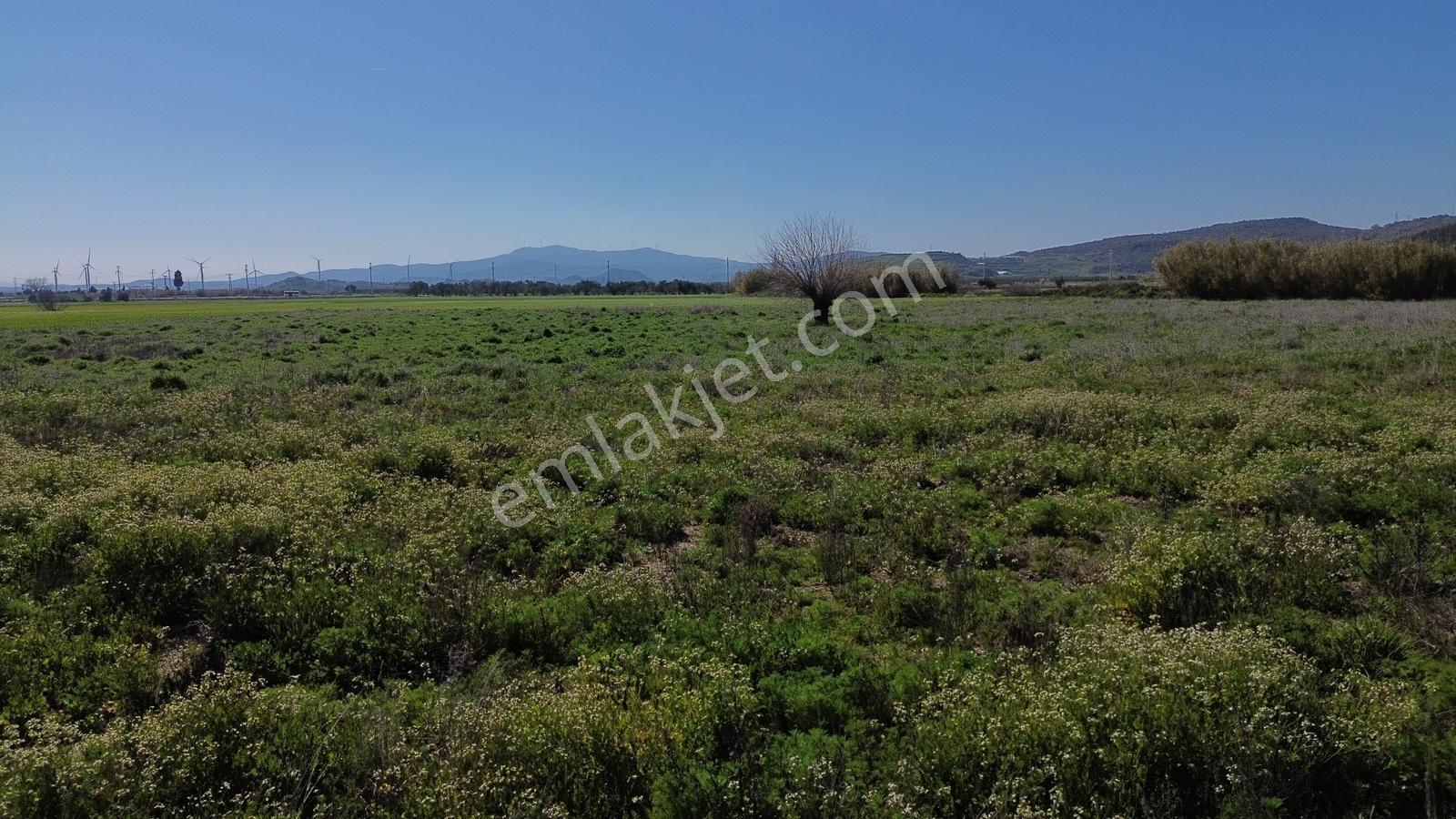 Bergama Organize Sanayi'ye Yakın 7.880 M2 Yatırımlık Tarla - Görsel 15