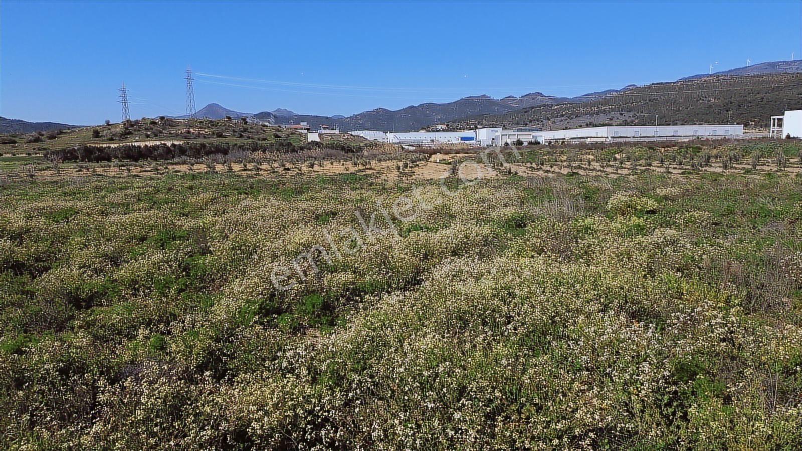 Bergama Organize Sanayi'ye Yakın 7.880 M2 Yatırımlık Tarla - Görsel 10