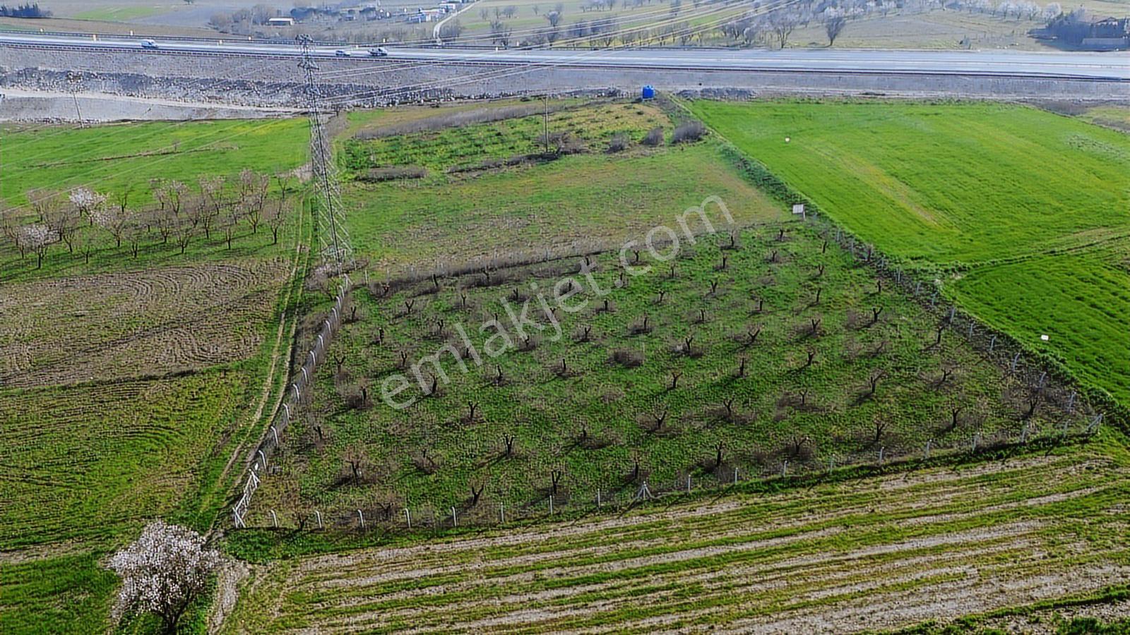 Kepsut Yoluna 1 Parsel, K. Yolu Olan Bakımlı Tarla/hobi Bahçesi - Görsel 15