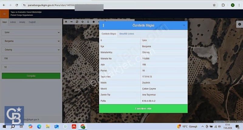 Bergama Örlemiş Mahallesinde Kupon Zeytinlik - Görsel 7