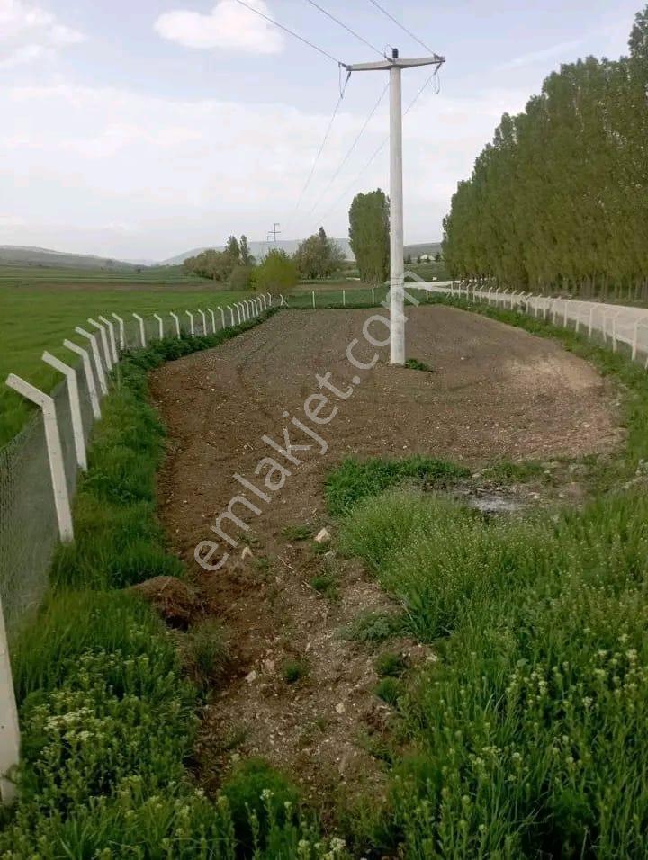Doğa City'den Satılık Söğüt Olukluda 1.399 M2 Asfalt Cephe Tarla - Görsel 2