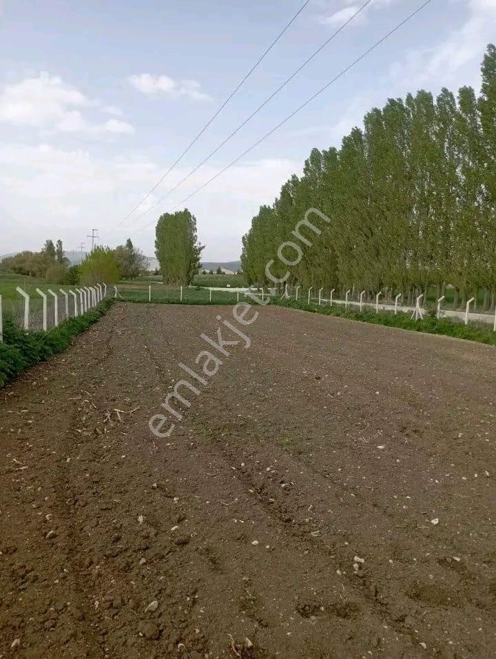 Doğa City'den Satılık Söğüt Olukluda 1.399 M2 Asfalt Cephe Tarla - Görsel 3