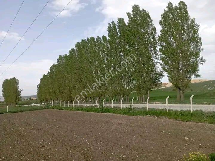 Doğa City'den Satılık Söğüt Olukluda 1.399 M2 Asfalt Cephe Tarla - Görsel 9