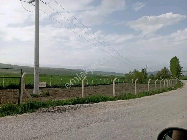 Doğa City'den Satılık Söğüt Olukluda 1.399 M2 Asfalt Cephe Tarla