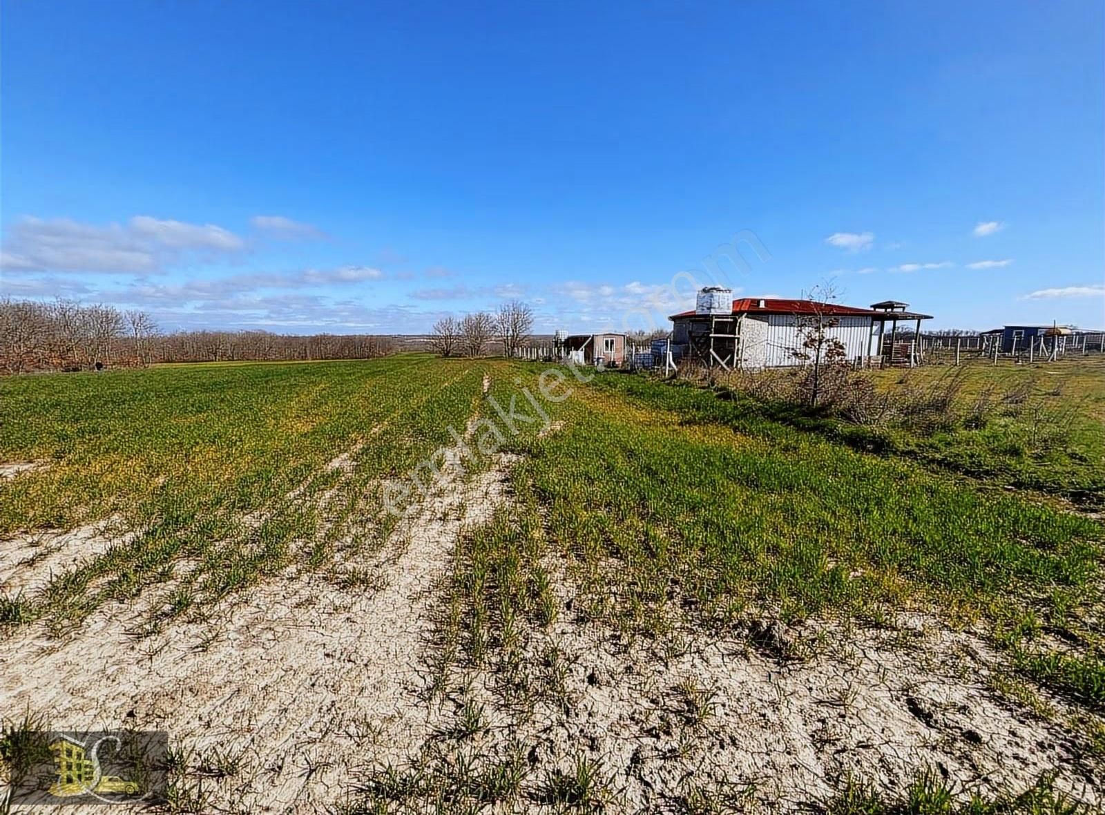 Serdaroğlundan Silivri Çayırdere Bağyeri Satılık Tarla!!! - Görsel 11