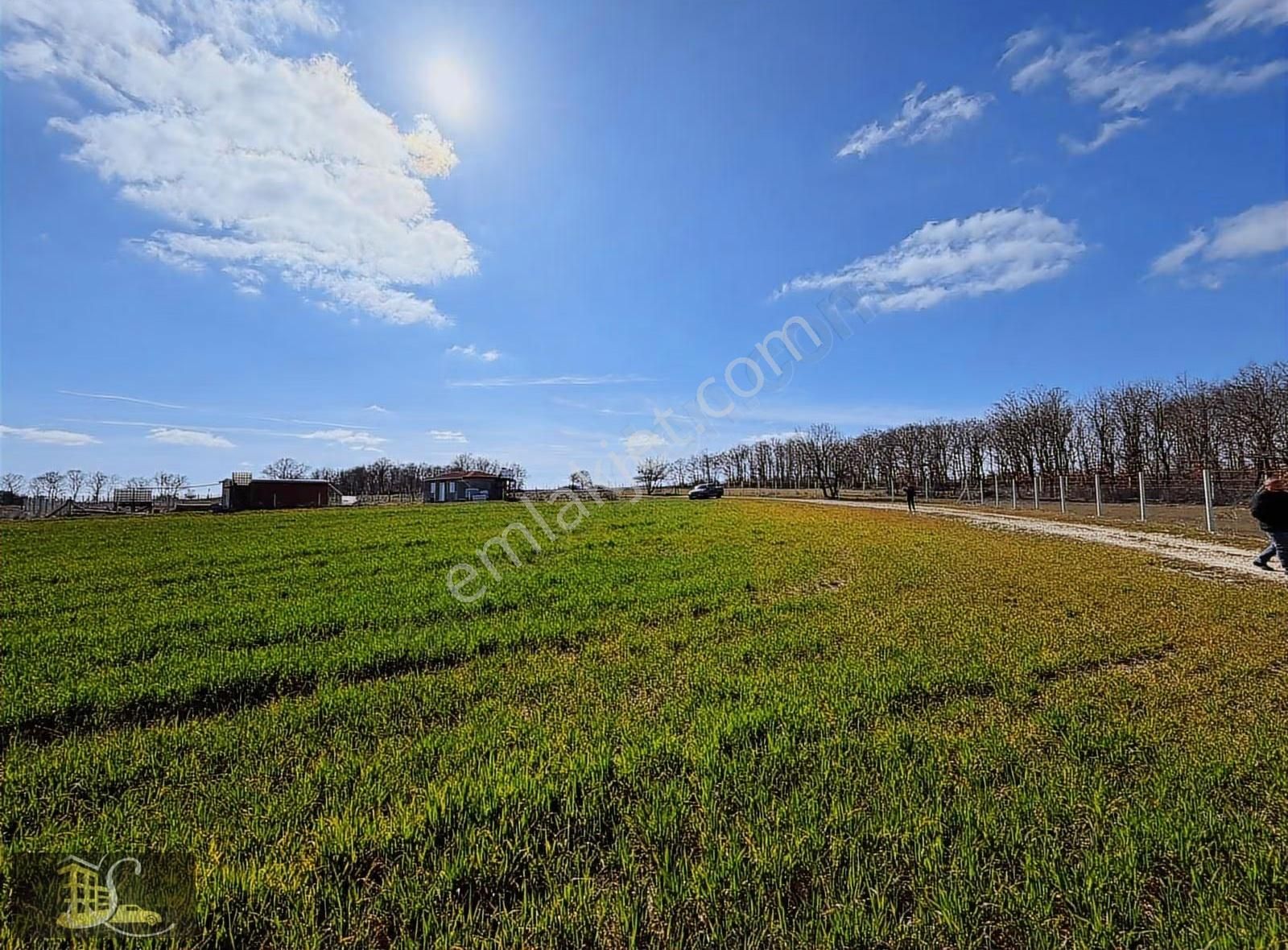 Serdaroğlundan Silivri Çayırdere Bağyeri Satılık Tarla!!! - Görsel 4