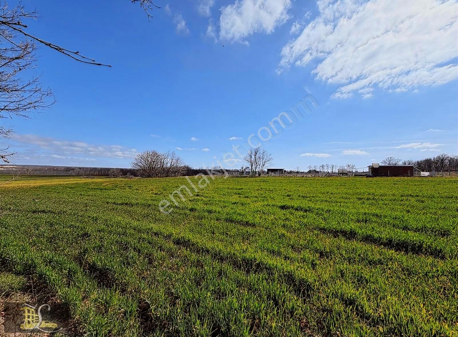 Serdaroğlundan Silivri Çayırdere Bağyeri Satılık Tarla!!! - Görsel 16