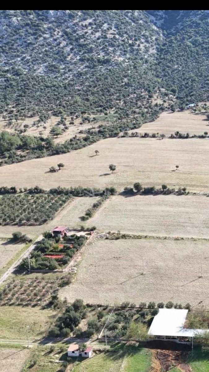 Anadolu Gayrimenkulden Ağlıboğazda Köşe Arsa Yatırımlık - Görsel 3
