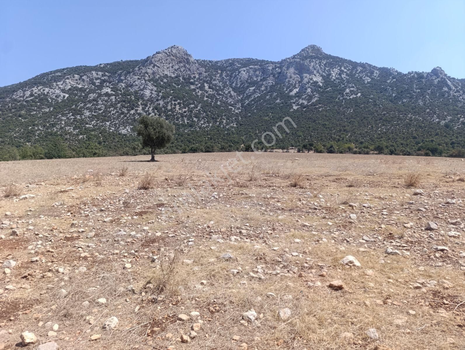 Anadolu Gayrimenkulden Ağlıboğazda Köşe Arsa Yatırımlık - Görsel 7