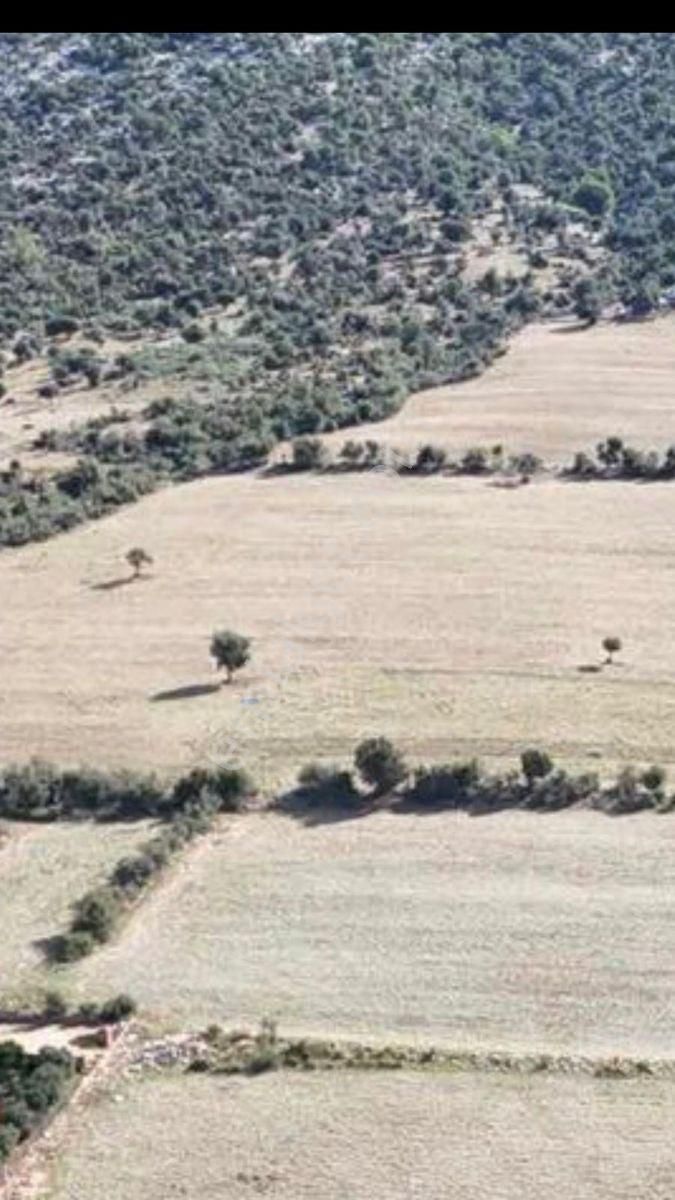 Anadolu Gayrimenkulden Ağlıboğazda Köşe Arsa Yatırımlık - Görsel 9